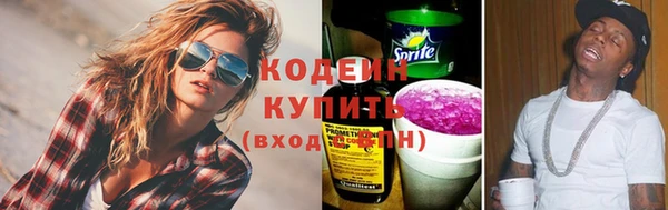 хмурый Абаза