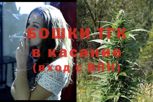 хмурый Абаза
