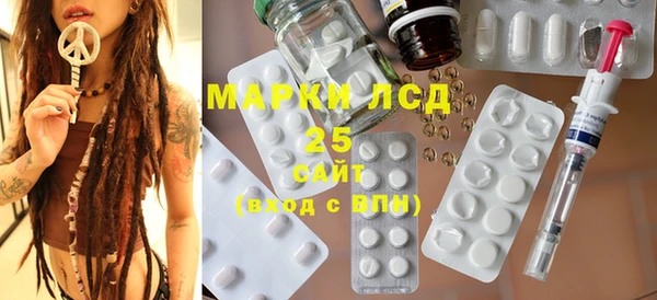 хмурый Абаза