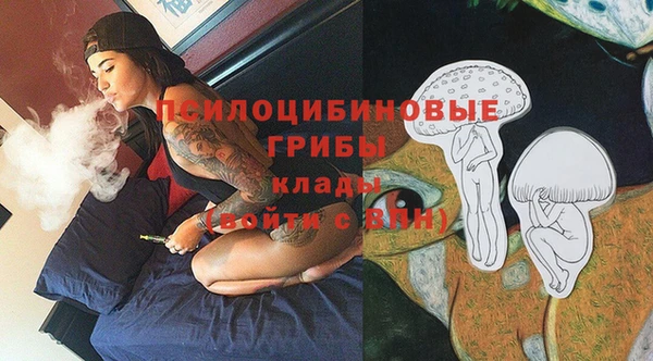 хмурый Абаза