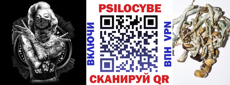 Галлюциногенные грибы GOLDEN TEACHER  Торопец 